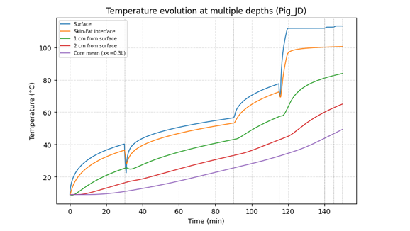 Figure 1. Temperature evolution at multiple depths during roasting, showing the thermal decoupling between the outer surface and the deeper interior layers of the suckling pig.